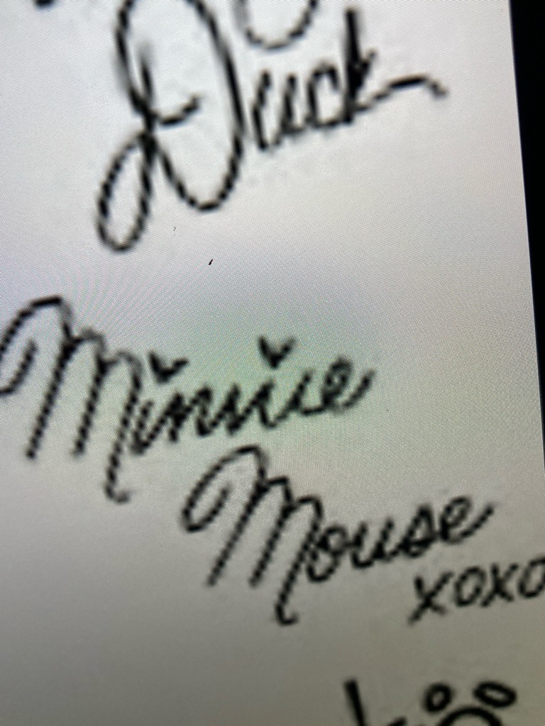 Minnie Mouse