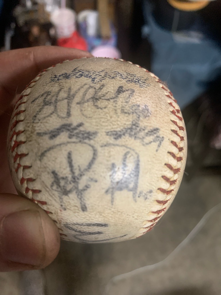 Multiple Signers (Team Signed/Souvenir Baseball)