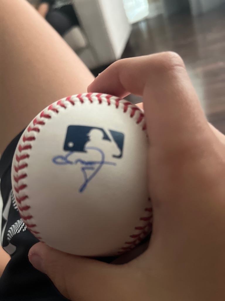 Vladimir Guerrero Jr.