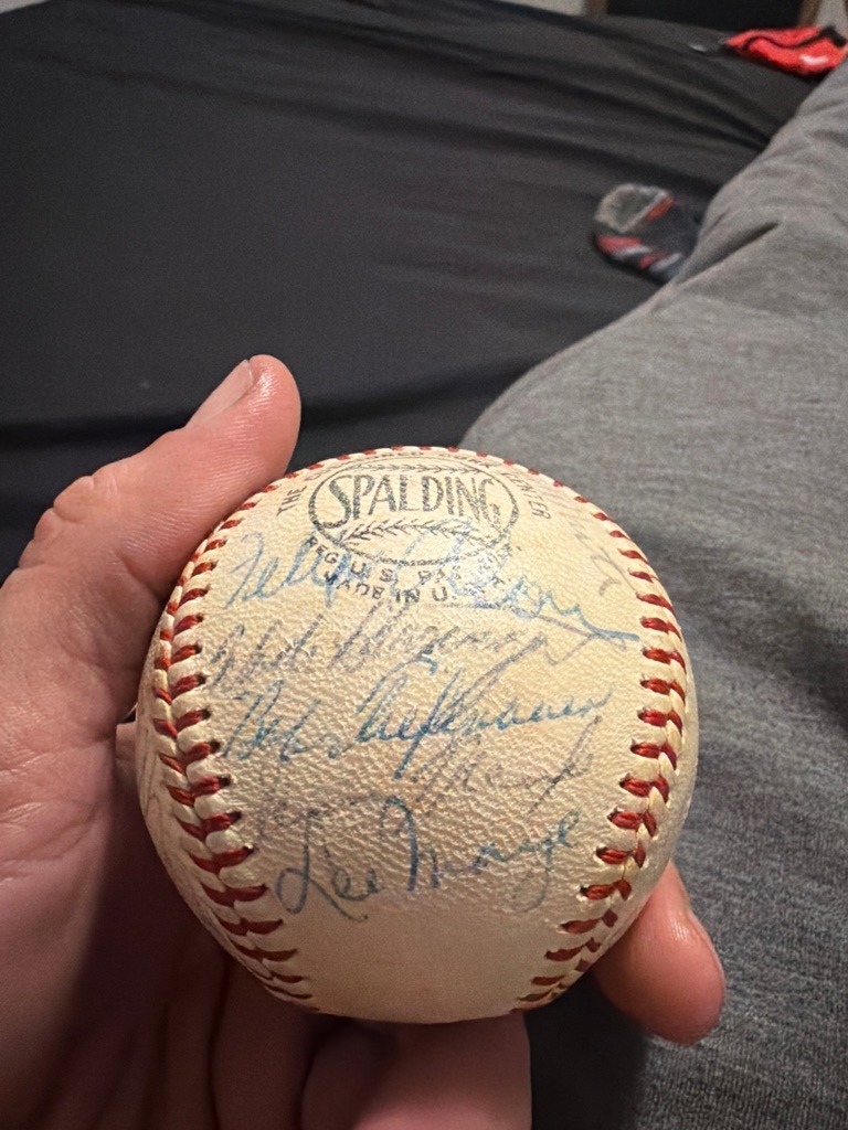 Multiple Signers (Team Signed Baseball)