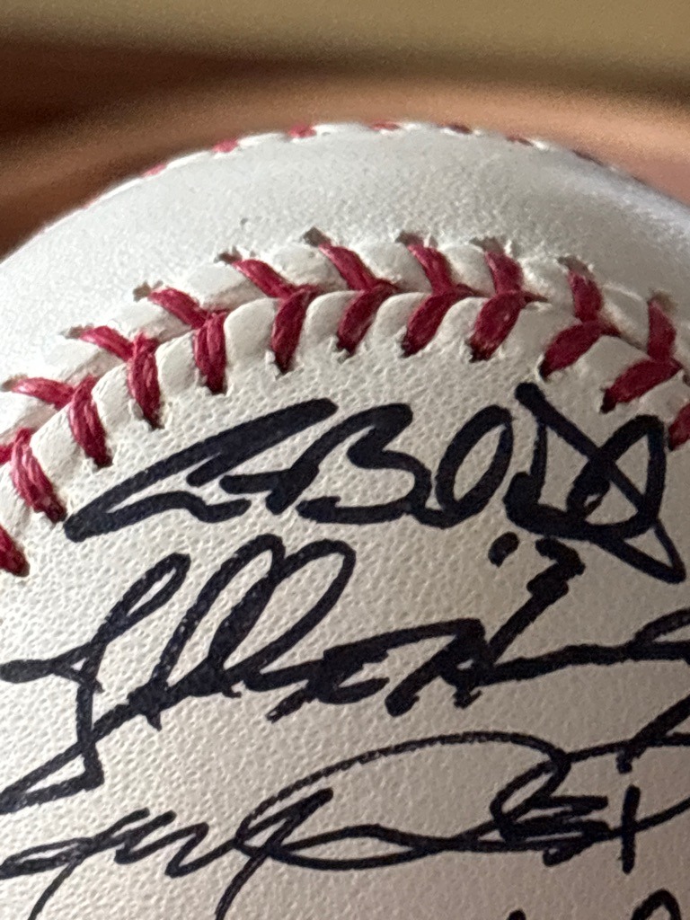 Multiple Signers (Team Signed Baseball)