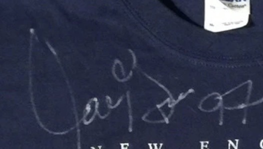 Tedy Bruschi