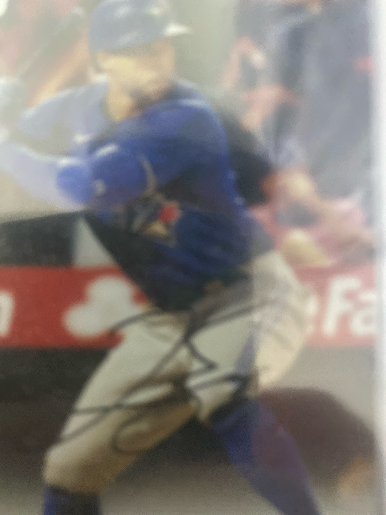Vladimir Guerrero Jr.