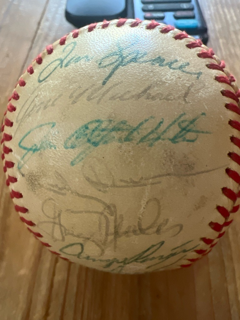 Jim Spencer, Gene Michael, George Medich, Gary Meads, others