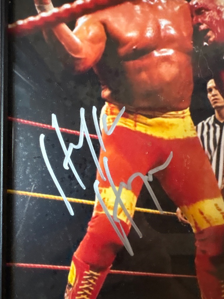 Hulk Hogan (Terry Bollea)