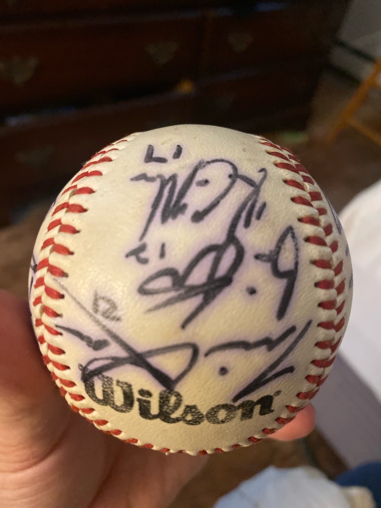 Multiple Signers (Team Signed Baseball)