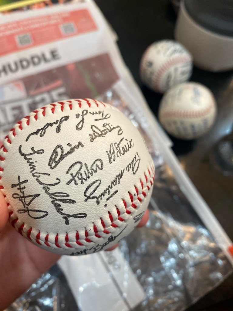 Multiple Signers (Team-Signed Baseball)