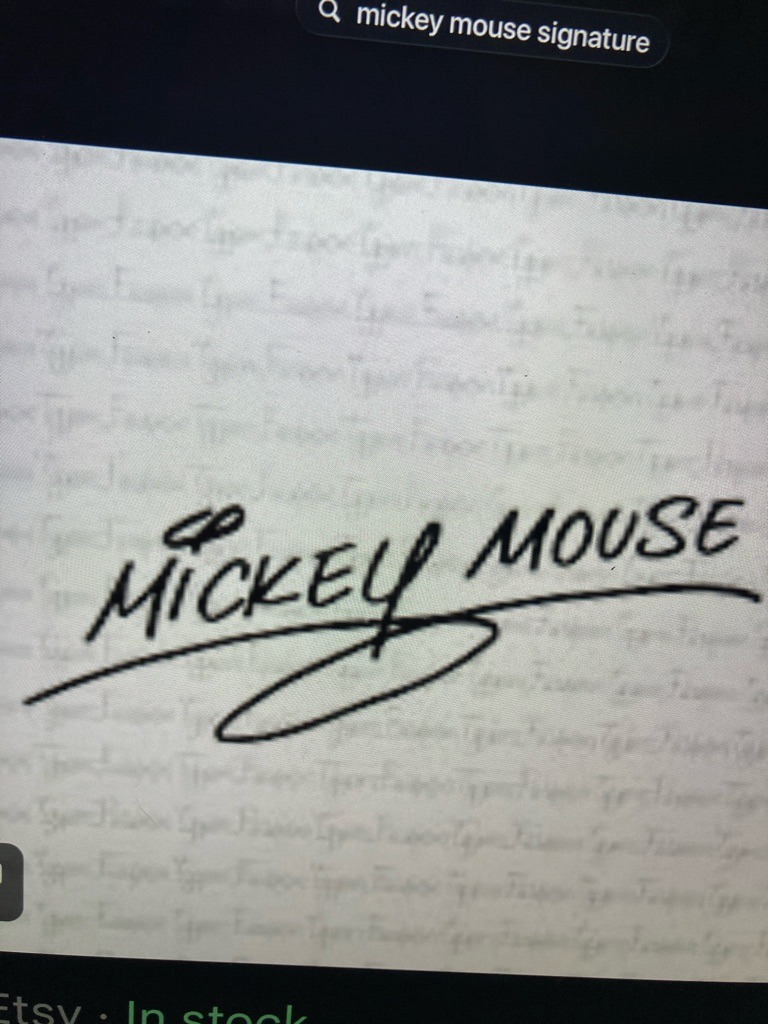 Mickey Mouse (Disney Theme Park Character)