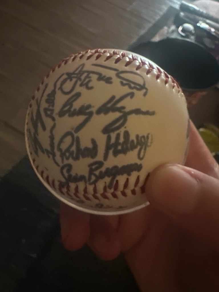 Multiple Signers (Team Signed Baseball including Richard Hidalgo and others)