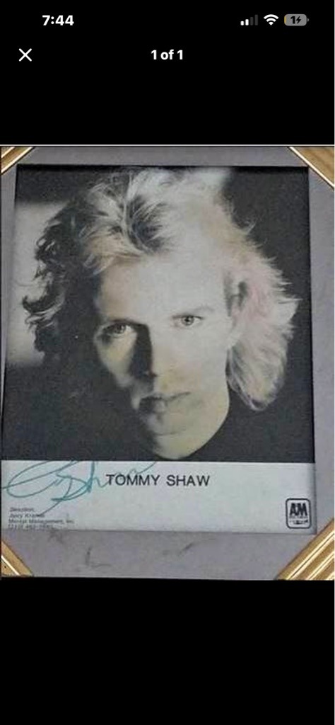 Tommy Shaw