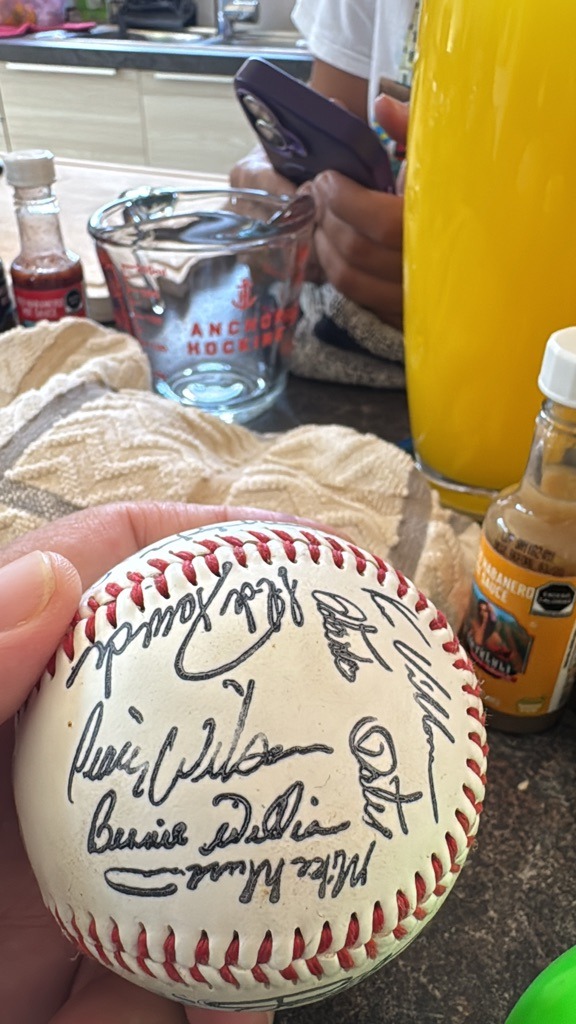 Multiple Signers (Team Signed Baseball)