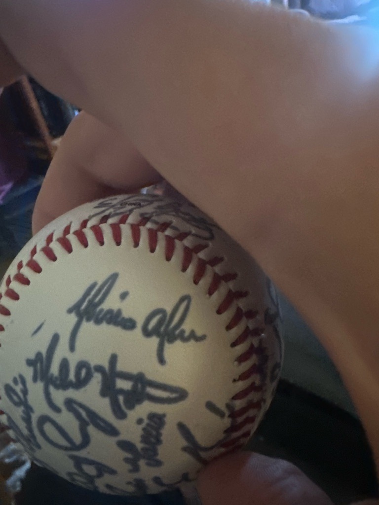 Multiple Signers (Team Signed Baseball)