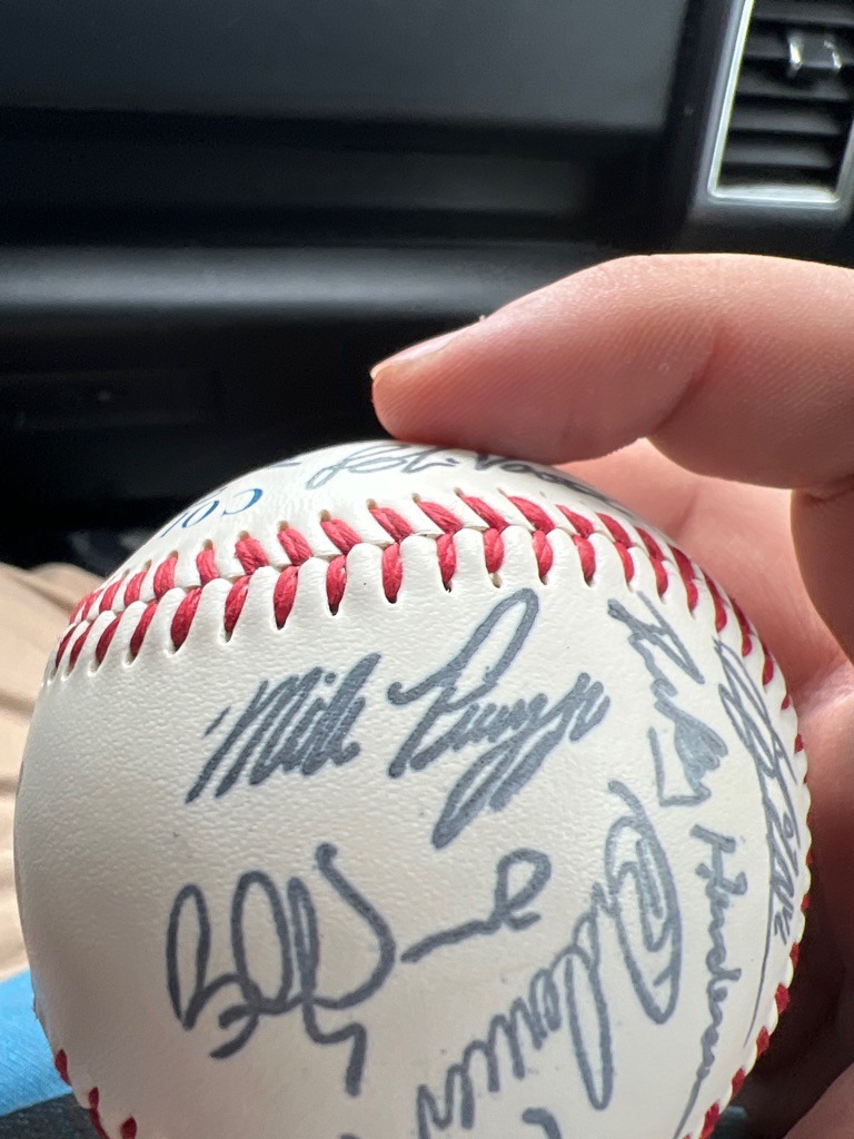 Multi-signed team baseball featuring Mike Piazza and others