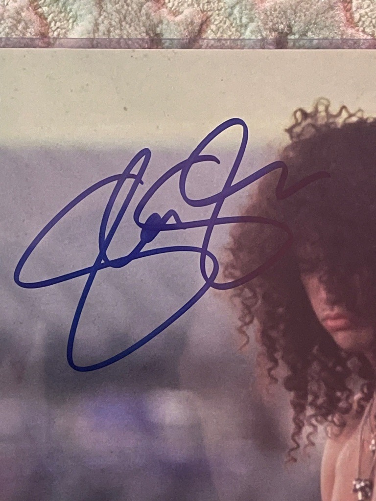Saul Hudson (Slash)