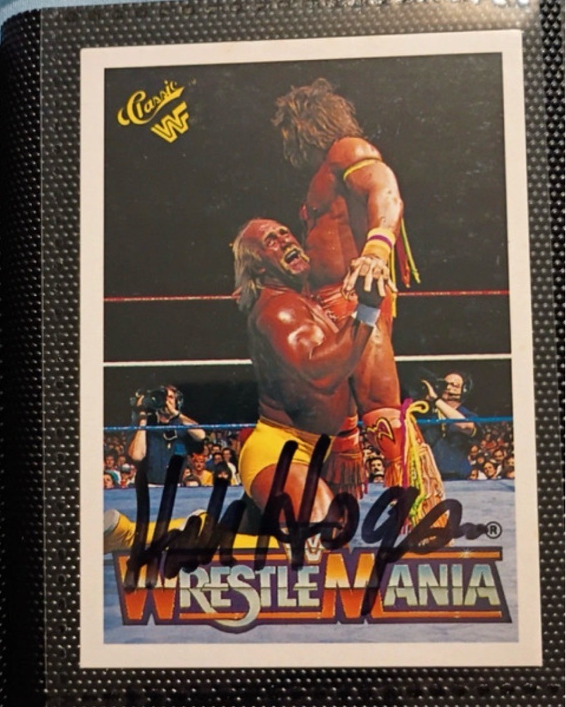 Hulk Hogan (Terry Bollea)