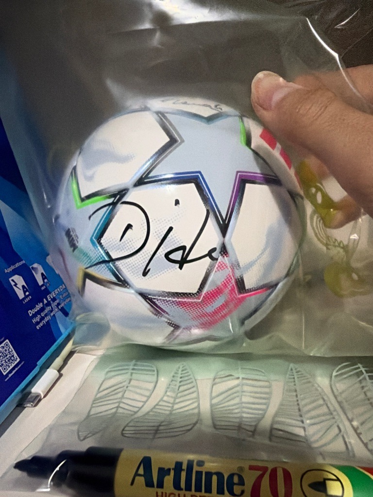 Didier Drogba