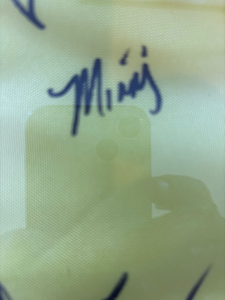 Minaj (Nicki Minaj)