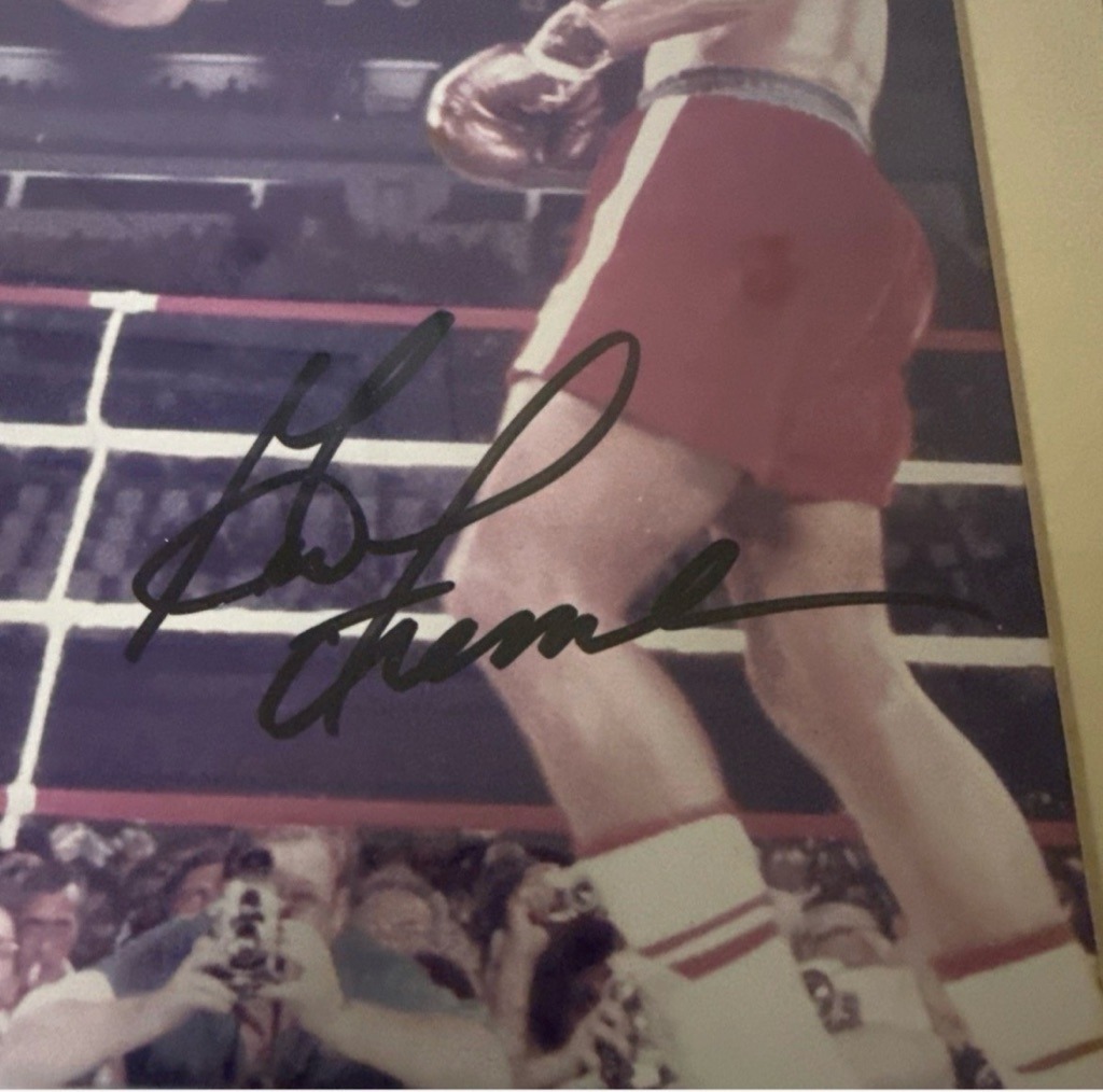 Hulk Hogan (Terry Bollea)