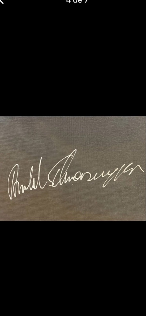 Arnold Schwarzenegger