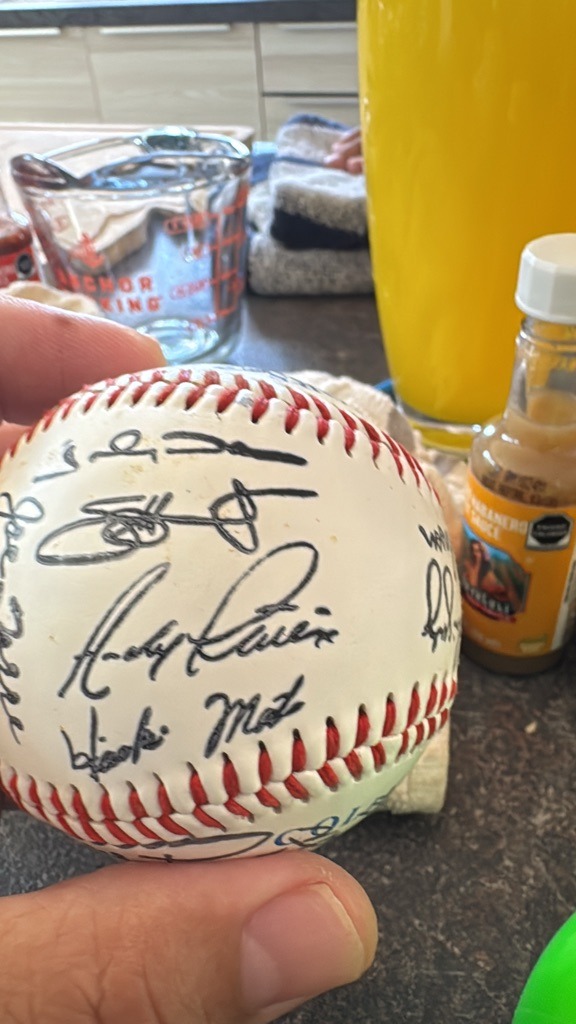 Multiple Signers (Team Signed Baseball)